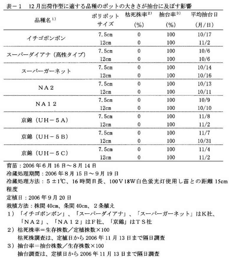 リモニウムの12月出荷作型における苗冷蔵ポリポットの小サイズ化