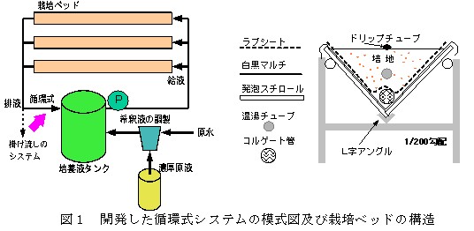 簡易な液肥混入器を用いたイチゴ循環式高設栽培システム