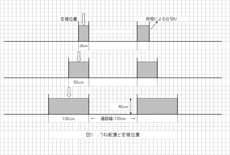 収量と身体負担からみたアスパラガスの枠板による高うね栽培の適切なうね上面幅