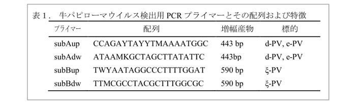 表1. 牛パピローマウイルス検出用PCRプライマーとその配列および特徴