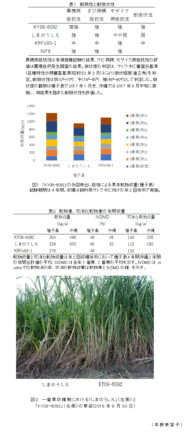 表1 耐病性と耐倒伏性;図1 「KY09-6092」の多回株出し栽培による累年乾物収量(種子島);表2 乾物重、可消化乾物重の年間収量;図2 一番草収穫期における「しまのうしえ」(左側)と「KY09-6092」(右側)の草姿(2016年8月30日)