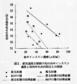 図2 肥育過程全期間平均の血中インスリン濃度と枝肉中の枝肉割合との関係