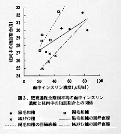 図3 肥育過程全期間平均の血中インスリン濃度と枝肉中の脂肪割合との関係