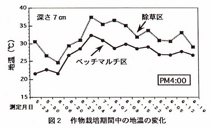 図2 作物栽培期間中の地温の変化