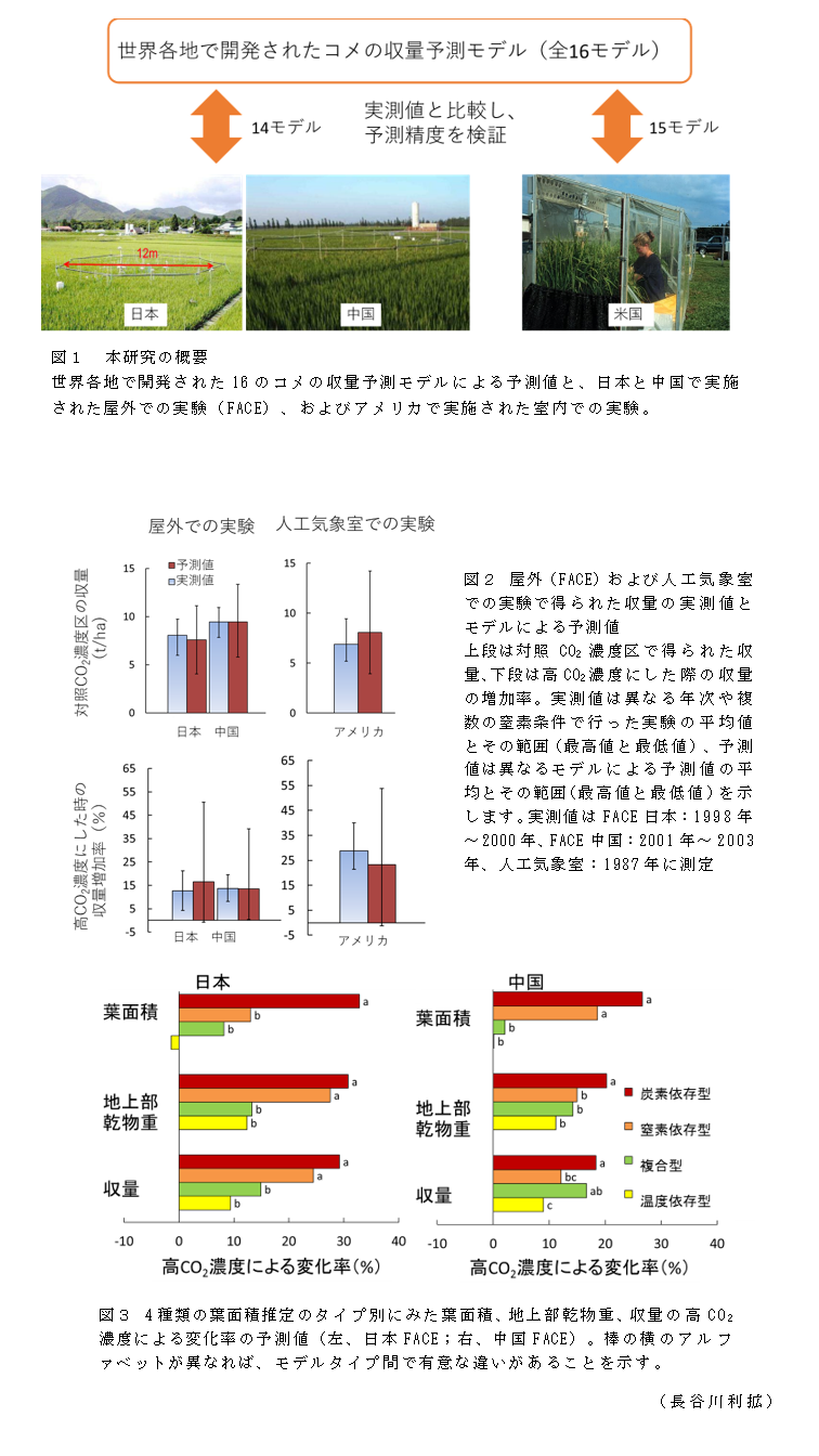 図1 本研究の概要;図2 屋外(FACE)および人工気象室での実験で得られた収量の実測値とモデルによる予測値;図3 4種類の葉面積推定のタイプ別にみた葉面積、地上部乾物重、収量の高CO2濃度による変化率の予測値(左、日本FACE;右、中国FACE)