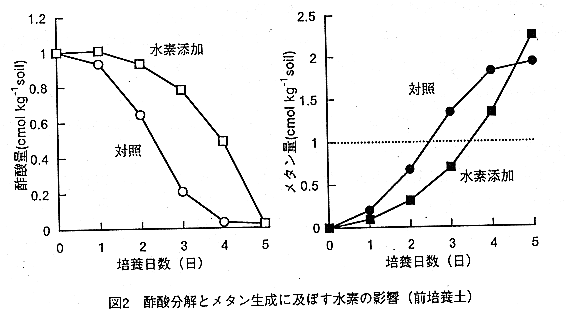 図2.酢酸分解とメタン生成に及ぼす水素の影響