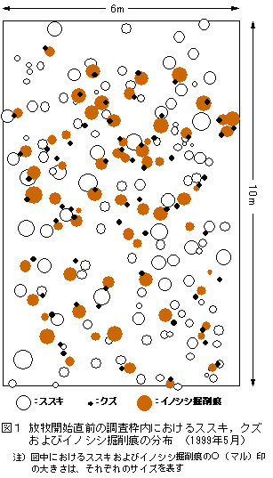 図1 放牧開始直前の調査枠内におけるススキ、クズおよびイノシシ掘削痕の分布