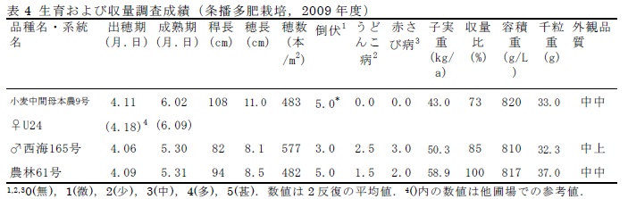 表4 生育および収量調査成績(条播多肥栽培,2009 年度)