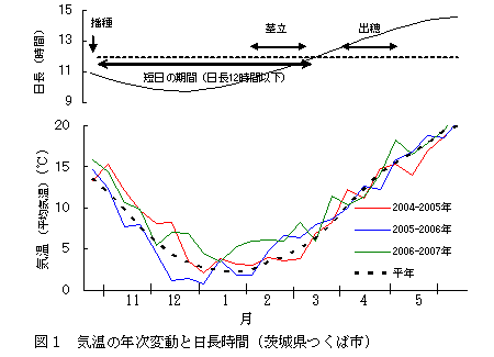 図1 気温の年次変動と日長時間 (茨城県つくば市)