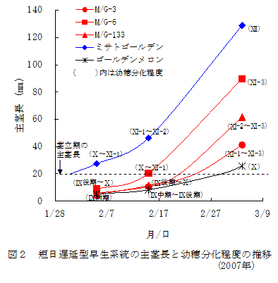 図2 短日遅延型早生系統の主茎長と幼穂分化程度の推移(2007年)